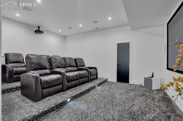 home theater room with carpet flooring