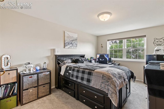 bedroom with light colored carpet