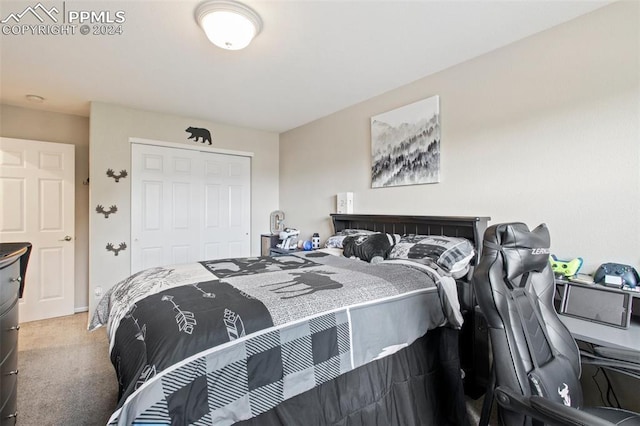 carpeted bedroom featuring a closet