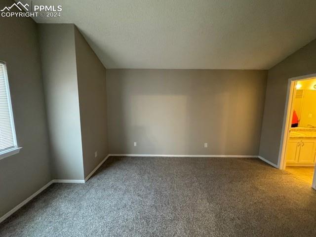 bonus room with carpet flooring