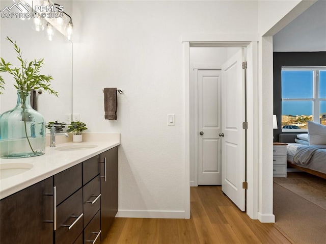 bathroom featuring hardwood / wood-style floors and vanity