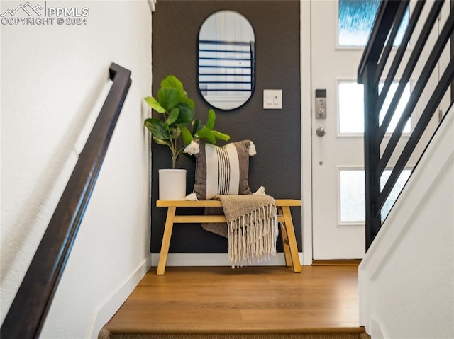 entrance foyer featuring plenty of natural light and hardwood / wood-style floors