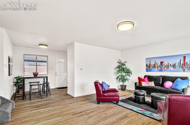 living room featuring wood-type flooring