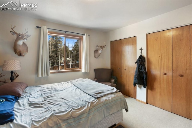 carpeted bedroom featuring multiple closets