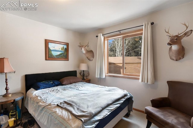 view of carpeted bedroom