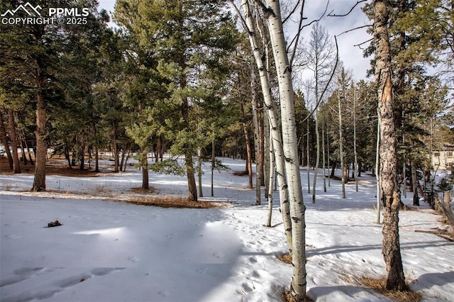 view of yard layered in snow