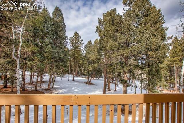 view of yard covered in snow
