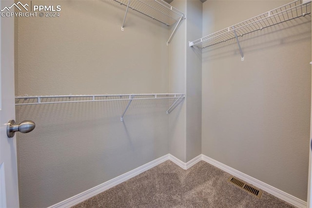 spacious closet featuring carpet floors