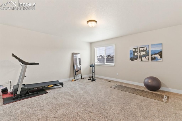 exercise room with carpet