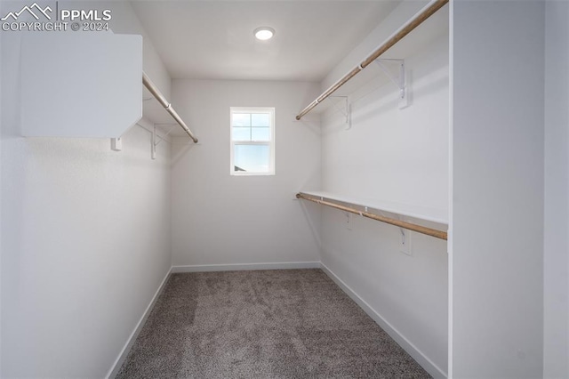 spacious closet with carpet flooring