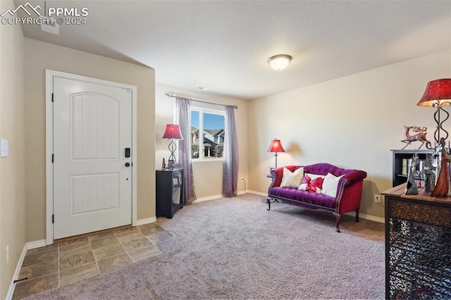 sitting room with carpet floors