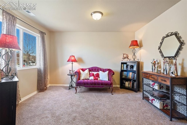 sitting room featuring carpet