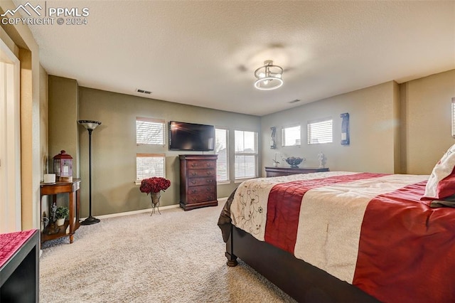 bedroom with a textured ceiling and light carpet