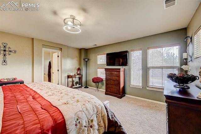 bedroom featuring carpet flooring