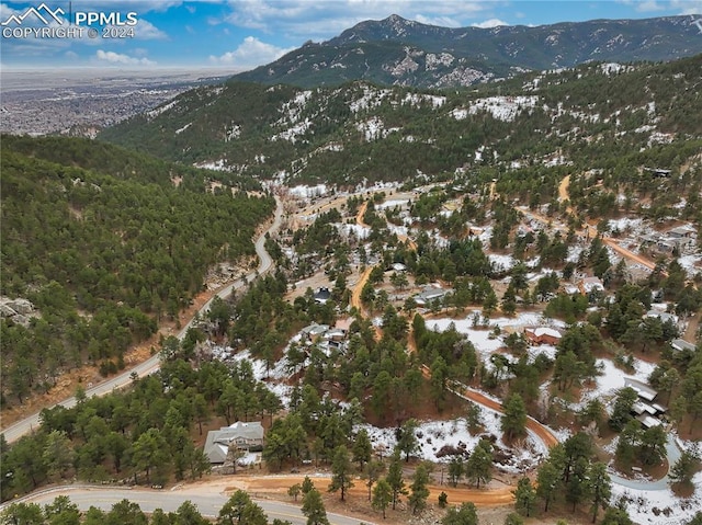 birds eye view of property featuring a mountain view