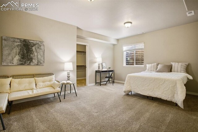 carpeted bedroom featuring a spacious closet and a closet