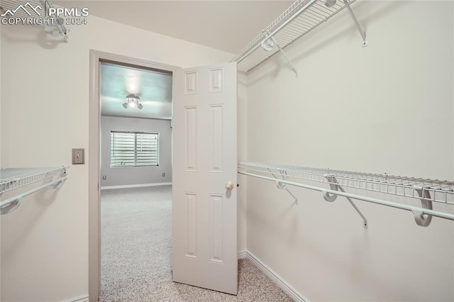 spacious closet featuring light carpet