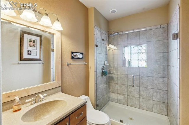 bathroom featuring a shower with door, vanity, and toilet