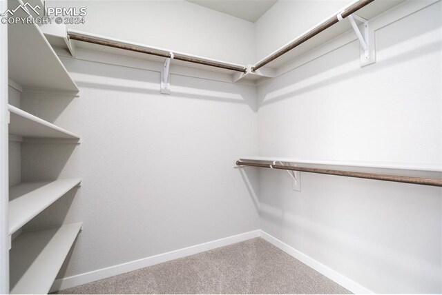 spacious closet with carpet flooring