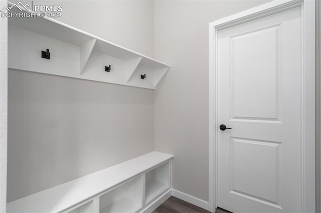 mudroom featuring dark wood-type flooring