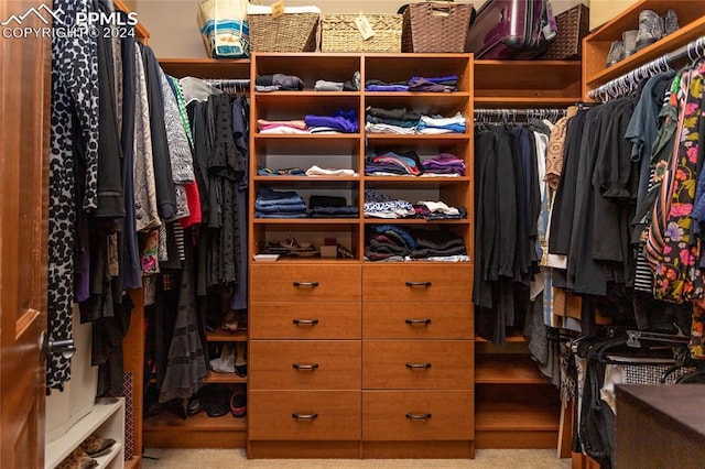 walk in closet with light colored carpet