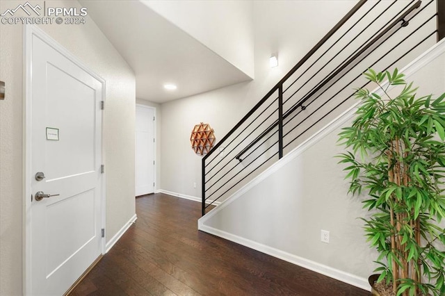 foyer entrance featuring dark hardwood / wood-style flooring