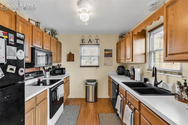 kitchen with black appliances, plenty of natural light, sink, and light hardwood / wood-style flooring