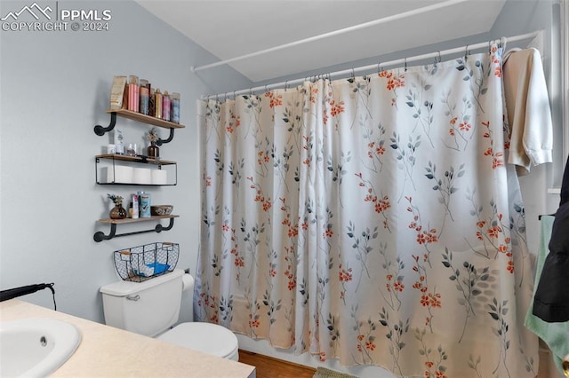 bathroom with hardwood / wood-style floors, vanity, and toilet