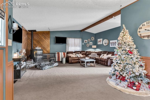 living room featuring a wood stove, wooden walls, and a textured ceiling