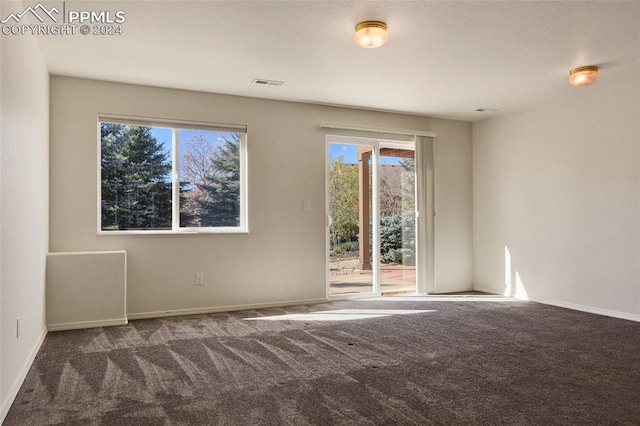 empty room featuring carpet floors