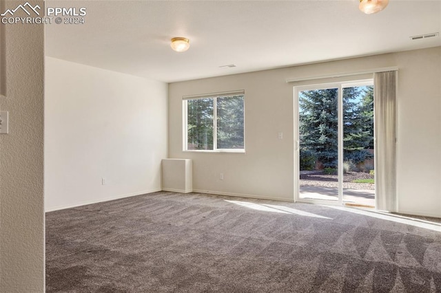 spare room with carpet flooring and a wealth of natural light