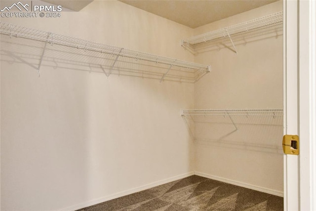 spacious closet with carpet flooring