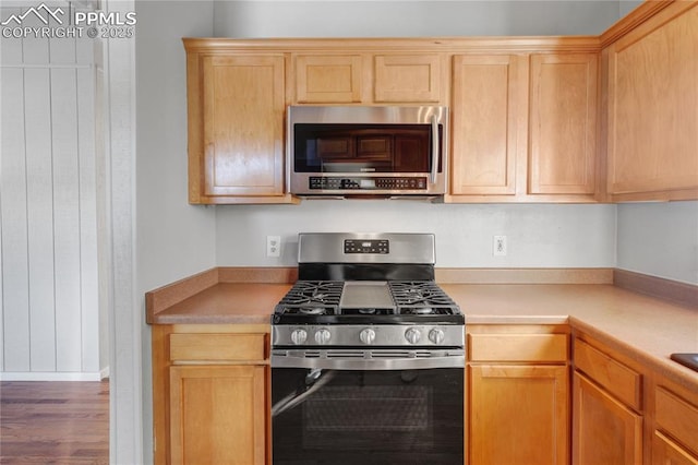 kitchen with appliances with stainless steel finishes and light brown cabinetry