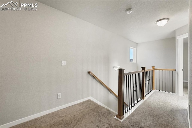 staircase with carpet flooring