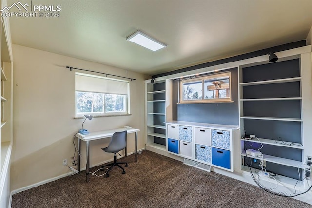 home office with dark colored carpet