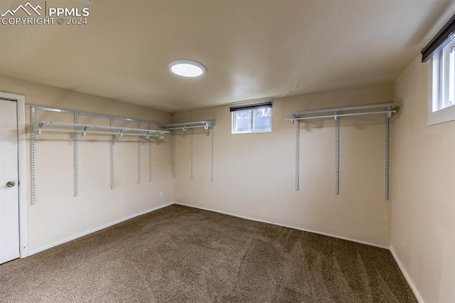 spacious closet featuring carpet