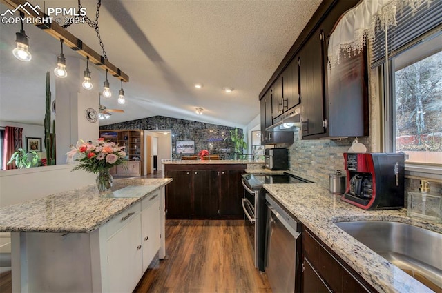 kitchen featuring stainless steel dishwasher, a healthy amount of sunlight, lofted ceiling, and backsplash