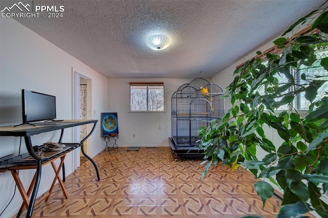 miscellaneous room featuring light parquet flooring and a textured ceiling