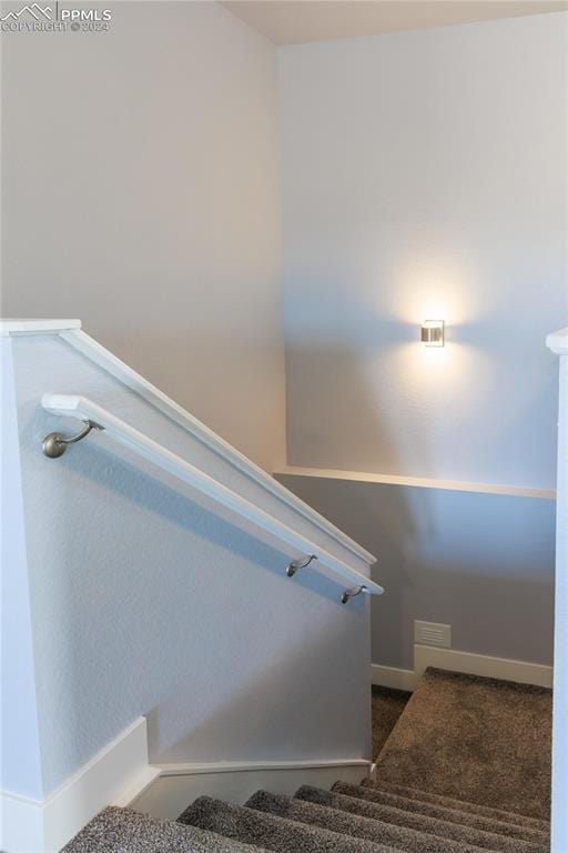 staircase featuring carpet