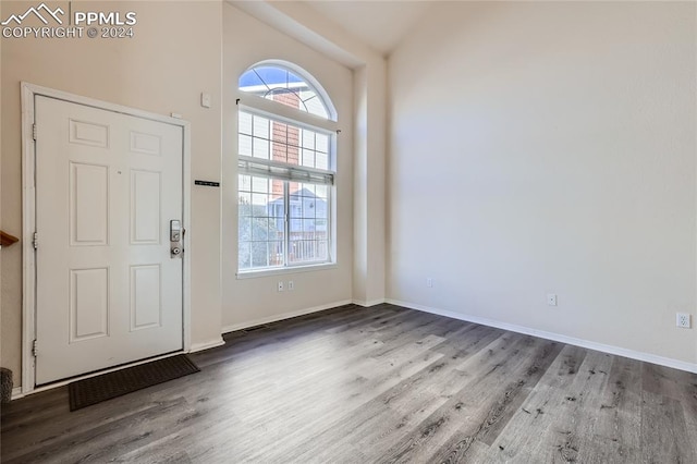 foyer entrance with hardwood / wood-style flooring