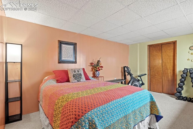 bedroom with carpet flooring and a closet