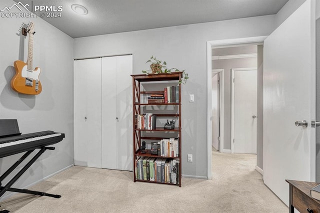 miscellaneous room with light colored carpet