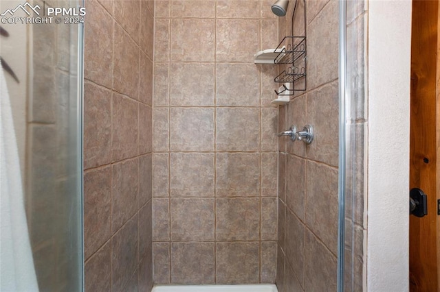 bathroom featuring a shower with shower door