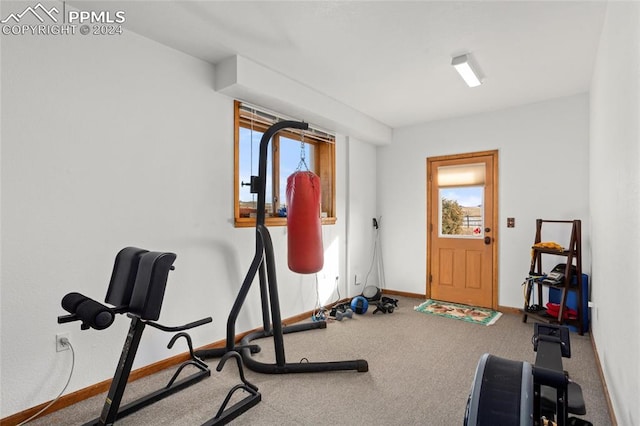 exercise room featuring carpet