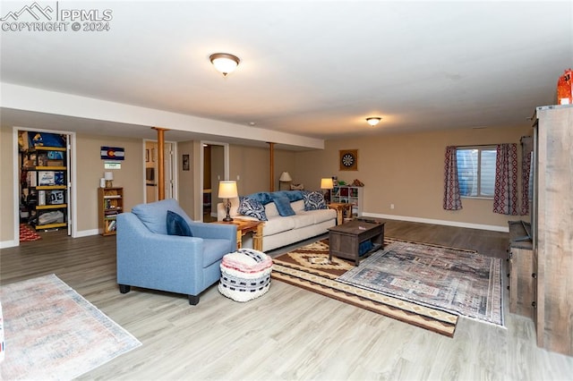 living room with wood-type flooring