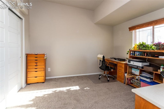 home office featuring light colored carpet