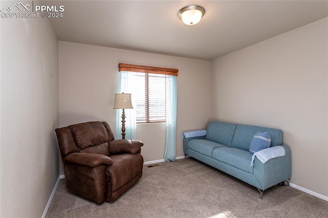 sitting room featuring carpet