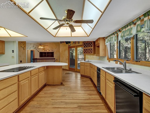 kitchen with black appliances, plenty of natural light, light hardwood / wood-style floors, and sink