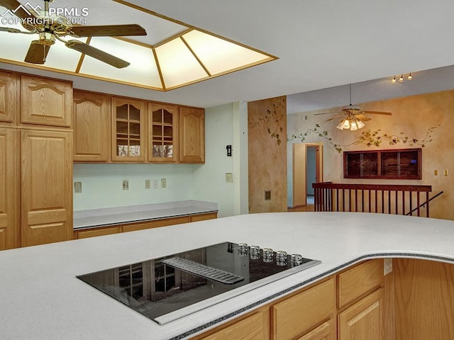 kitchen featuring black electric cooktop and ceiling fan