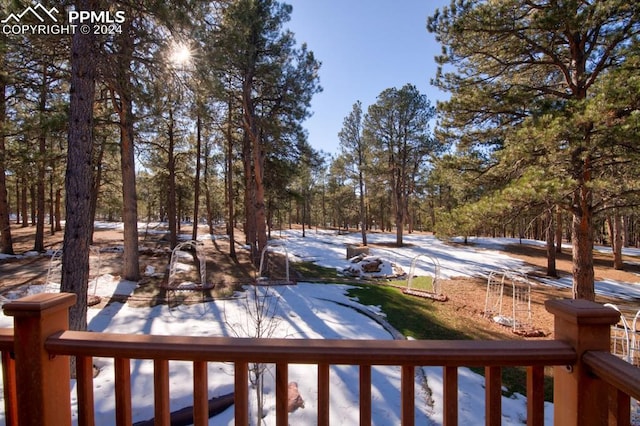 view of yard covered in snow